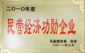 民營(yíng)經(jīng)濟功勛企業(yè)-2011.jpg